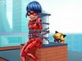 Permainan Cat Noir Penyelamatan Kepik  secara online