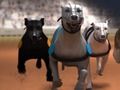 Permainan Balapan Greyhound secara online