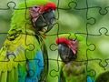 Permainan Puzzle Gambar Hutan Hujan secara online