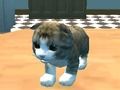 Permainan Simulator Kucing: Kitty Craft!  secara online