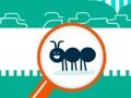 Permainan Kutu Hancur secara online