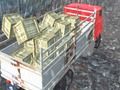 Permainan Driver Truk Offroad  secara online