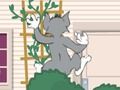 Permainan Tom und Jerry: Wasserbomben Wahnsinn secara online Permainan Tom und Jerry: Wasserbomben Wahnsinn secara online