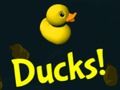Permainan Bebek!  secara online
