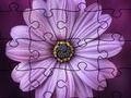Permainan Puzzle Musim Panas secara online
