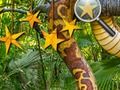 Permainan Bintang Tersembunyi di Hutan secara online