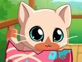 Permainan Kitty Cat Animal Pet saya  secara online