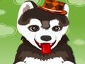 Permainan Memandikan anjing yang lucu secara online Permainan Memandikan anjing yang lucu secara online
