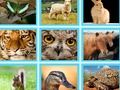Permainan Kuis Gambar EG secara online