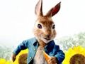 Permainan Peter Rabbit: Masalah di Labirin  secara online