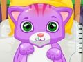Permainan Dokter Kucing secara online