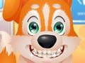 Permainan Dokter Gigi Anjing Lucu secara online Permainan Dokter Gigi Anjing Lucu secara online