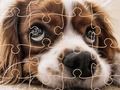 Permainan Teka-teki anjing lucu secara online Permainan Teka-teki anjing lucu secara online