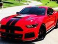Permainan Perbedaan Mustang Menawan secara online
