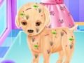 Permainan Bedah Puppy Baby Elsa secara online