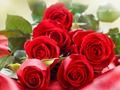 Permainan Mawar Merah secara online