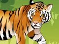 Permainan Mewarnai Harimau Marah secara online
