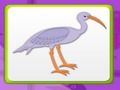 Permainan Memori Anak dengan Burung secara online