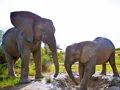 Permainan Teka-teki Gajah secara online