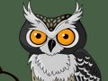 Permainan Ingatan Burung Hantu Lucu secara online