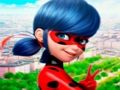 Permainan Koleksi Puzzle Jigsaw LadyBug  secara online
