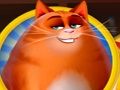 Permainan Kekacauan Kucing secara online