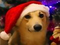 Permainan Anjing Natal Lucu  secara online