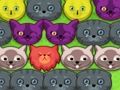 Permainan Kucing pop-pop secara online