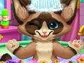 Permainan Mandi anak kucing secara online Permainan Mandi anak kucing secara online