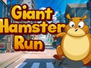Permainan Lari hamster raksasa secara online