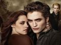 Permainan Koleksi Puzzle Jigsaw Twilight  secara online