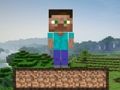 Permainan Kelangsungan Hidup Minecraft  secara online