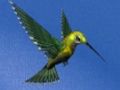 Permainan Pelarian Rumah Burung Kolibri  secara online