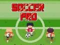 Permainan Sepak bola profesional  secara online
