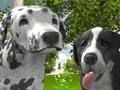 Permainan Simulator Anjing 3D secara online