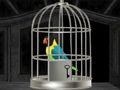 Permainan Burung beo melarikan diri  secara online
