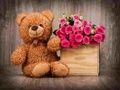 Permainan Teka Teddy Bear Lucu secara online