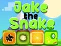 Permainan Jake Si Ular secara online