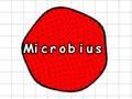 Permainan Mikrobius secara online