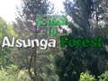 Permainan Kembali ke Hutan Alsunga  secara online