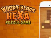 Permainan Puzzle Hexa Kayu secara online