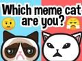 Permainan Kucing meme mana yang kamu? secara online
