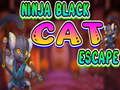 Permainan Pelarian Kucing Hitam Ninja secara online