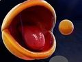 Permainan Pac-Man 3d secara online