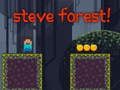 Permainan Steve Forest secara online