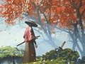 Permainan Refleksi Samurai  secara online