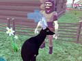 Permainan Simulator Rusa 3D  secara online