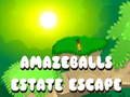 Permainan Amazeballs Estate Escape secara online