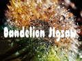 Permainan Jigsaw Dandelion  secara online