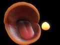 Permainan Pac-Man secara online